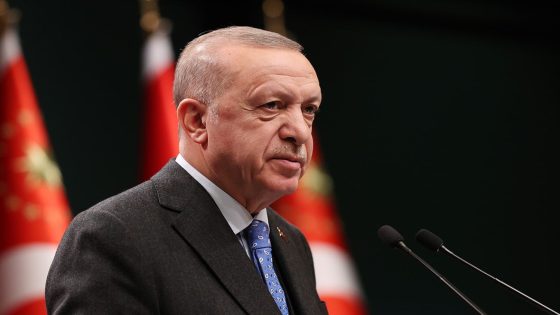 أردوغان يؤكد لجونسون: تركيا ملتزمة بدعم استقرار سوريا ووحدة أراضيها