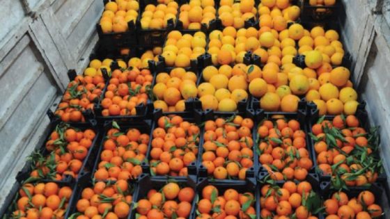 تحسن ملحوظ في صادرات الخضر والفواكه السورية إلى الخليج عبر معبر “نصيب”