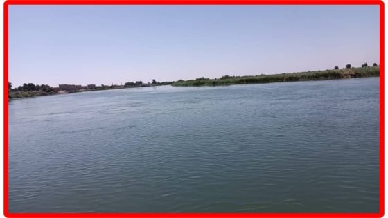 ظهور زاحف ضخم قرب منازل في دير الزور… ما حقيقة الحيوان الذي ظهر بعد فيضان الفرات؟ (فيديو)